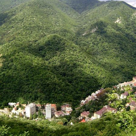 Апартаменты Garsoniera Aleea Trandafirilor Бэиле-Еркулане Экстерьер фото
