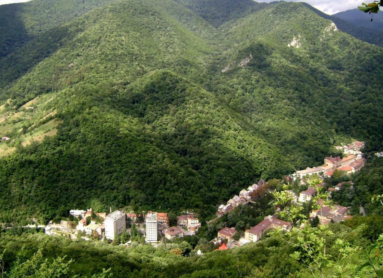 Апартаменты Garsoniera Aleea Trandafirilor Бэиле-Еркулане Экстерьер фото